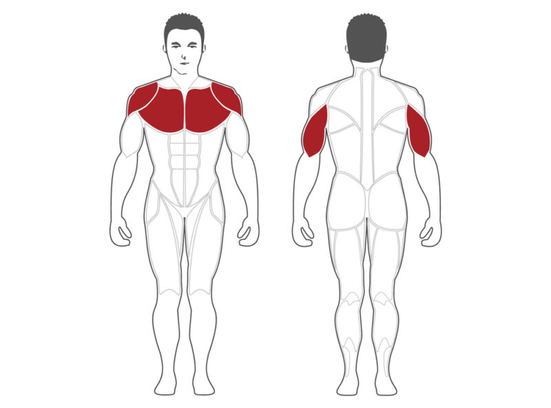 Steelflex PSIP - Appareil de musculation incliné avec plaques – Image 2